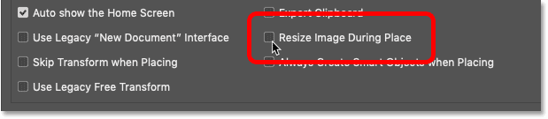 گزینه Resize Image Through Place در تنظیمات فتوشاپ